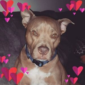 Meet your Posher, Patty